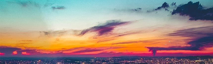 偃师茶虫网_偃师品茶